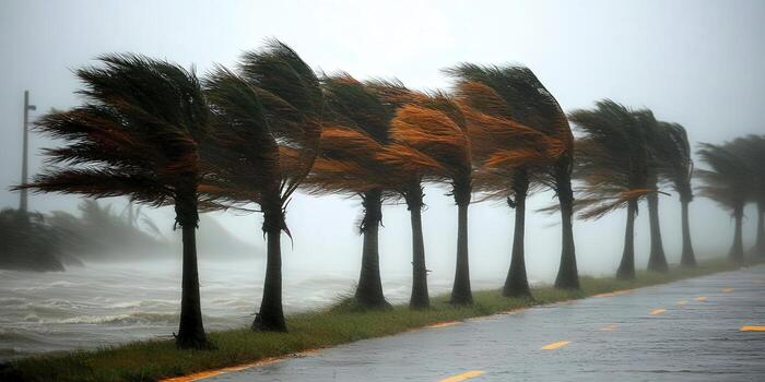 თბილისი, ქუთაისი, რუსთავი — ძლიერი ქარი